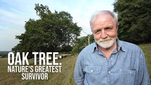 Oak Tree: Nature's Greatest Survivor's poster