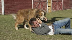 A Dog's Purpose's poster