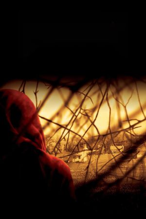 The Village's poster