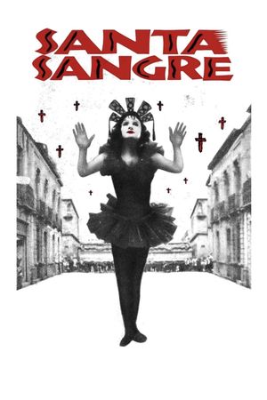 Santa Sangre's poster