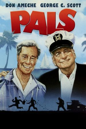 Pals's poster image