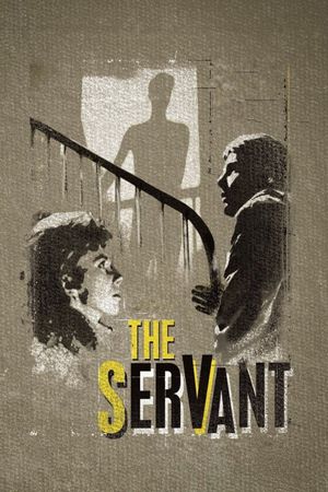 The Servant's poster