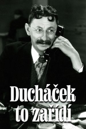 Duchácek to zarídí's poster