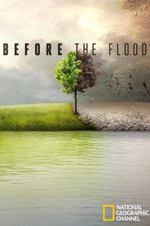 Before the Flood's poster