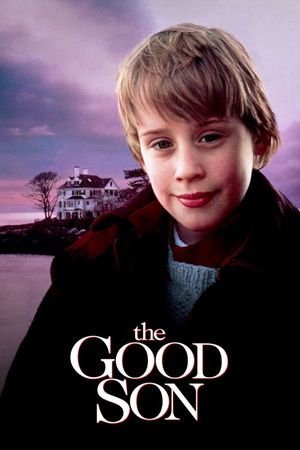 The Good Son's poster