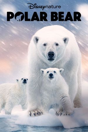 Polar Bear's poster