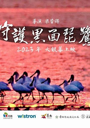 Caring for Black-Faced Spoonbill's poster