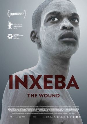 The Wound's poster