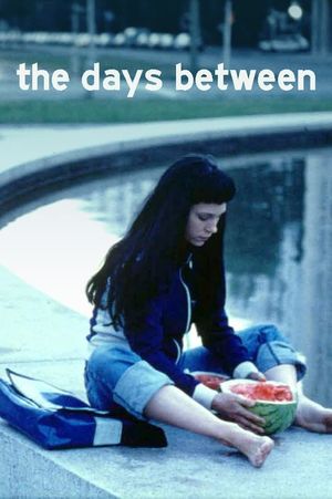 The Days Between's poster