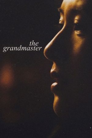 The Grandmaster's poster