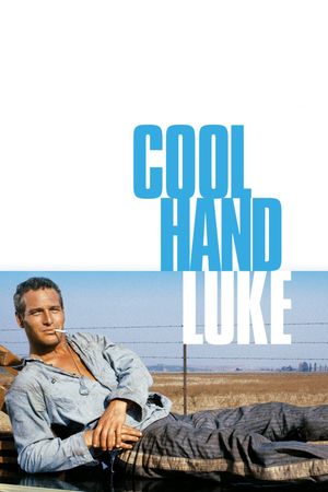 Cool Hand Luke's poster