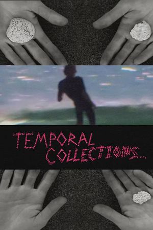 Temporal Collections's poster