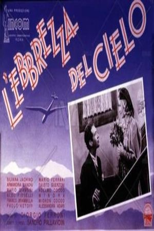 L'ebbrezza del cielo's poster