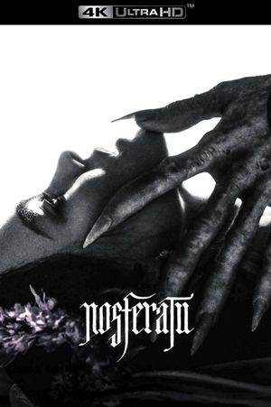 Nosferatu's poster