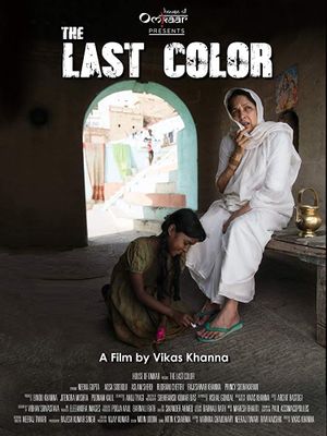 The Last Color's poster