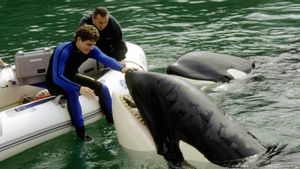 Free Willy 3: The Rescue's poster