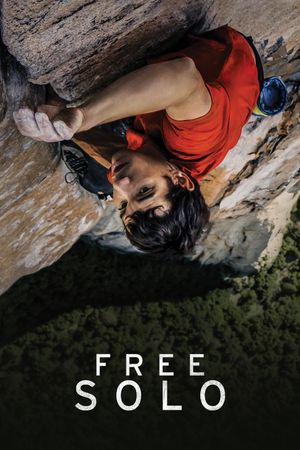 Free Solo's poster