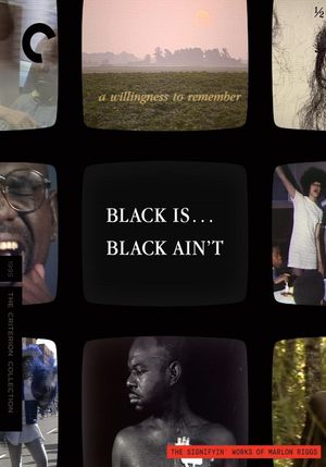 Black Is... Black Ain't's poster