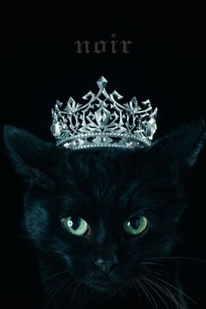 Aimer: Best Selection "noir" (Limited Edition Bonus)'s poster