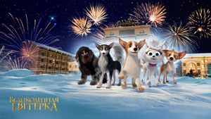 Dogs at the Opera's poster