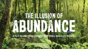 The Illusion of Abundance's poster