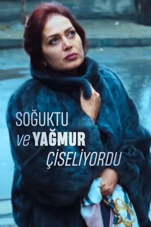 Soguktu ve Yagmur Çiseliyordu's poster