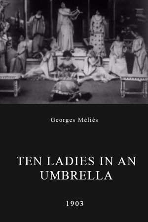 Ten Ladies in an Umbrella's poster