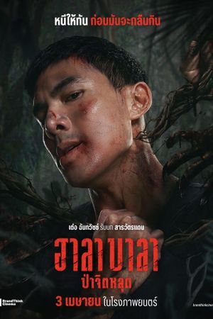 Halabala's poster