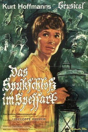 The Haunted Castle's poster