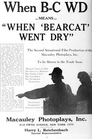 When Bearcat Went Dry's poster
