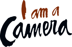 I Am a Camera's poster