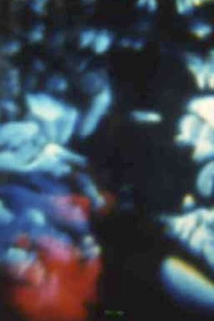 Song 16's poster