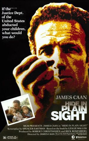 Hide in Plain Sight's poster