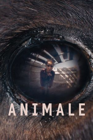 Animal's poster