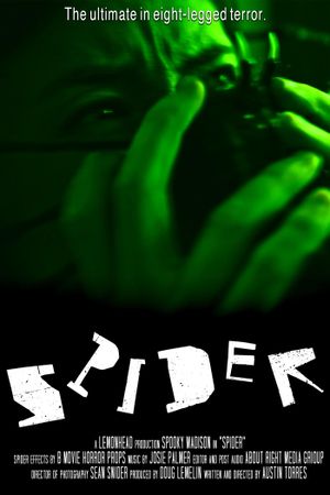 Spider's poster