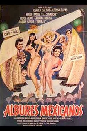 Albures mexicanos's poster