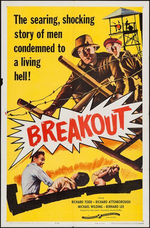 Breakout's poster