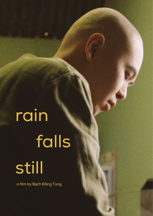 Rain Falls Still's poster