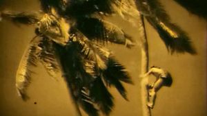 White Shadows in the South Seas's poster