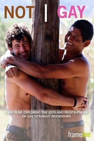 Not Gay's poster