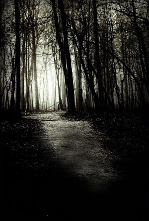 Devil's Knot's poster