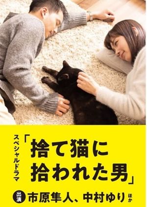 The Man Who Got Picked Up by a Stray Cat's poster