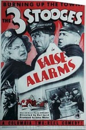 False Alarms's poster
