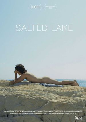 Salted Lake's poster