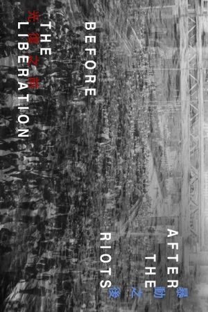 After the Riots, Before the Liberation's poster