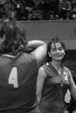 Volleyball's poster image