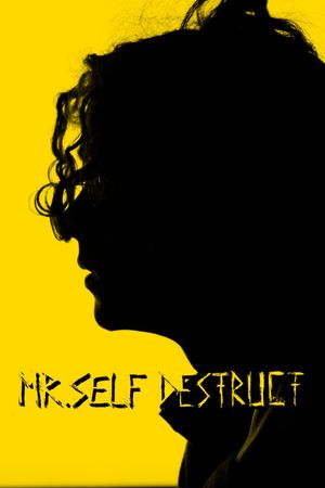 MR. SELF DESTRUCT's poster