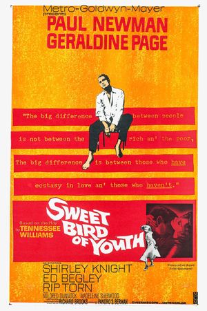 Sweet Bird of Youth's poster