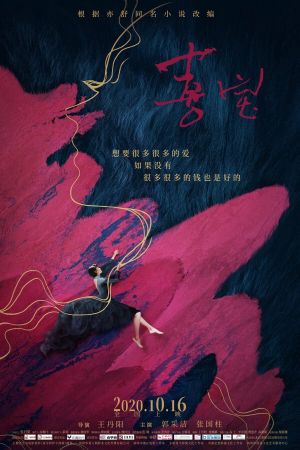 The Story of Xi Bao's poster