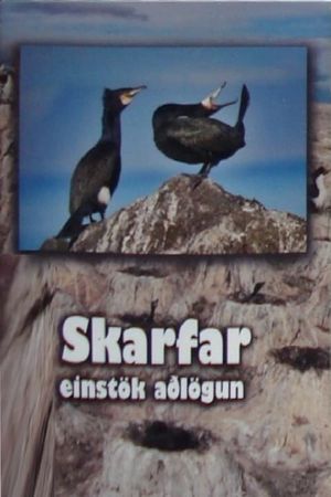 Skarfar's poster image